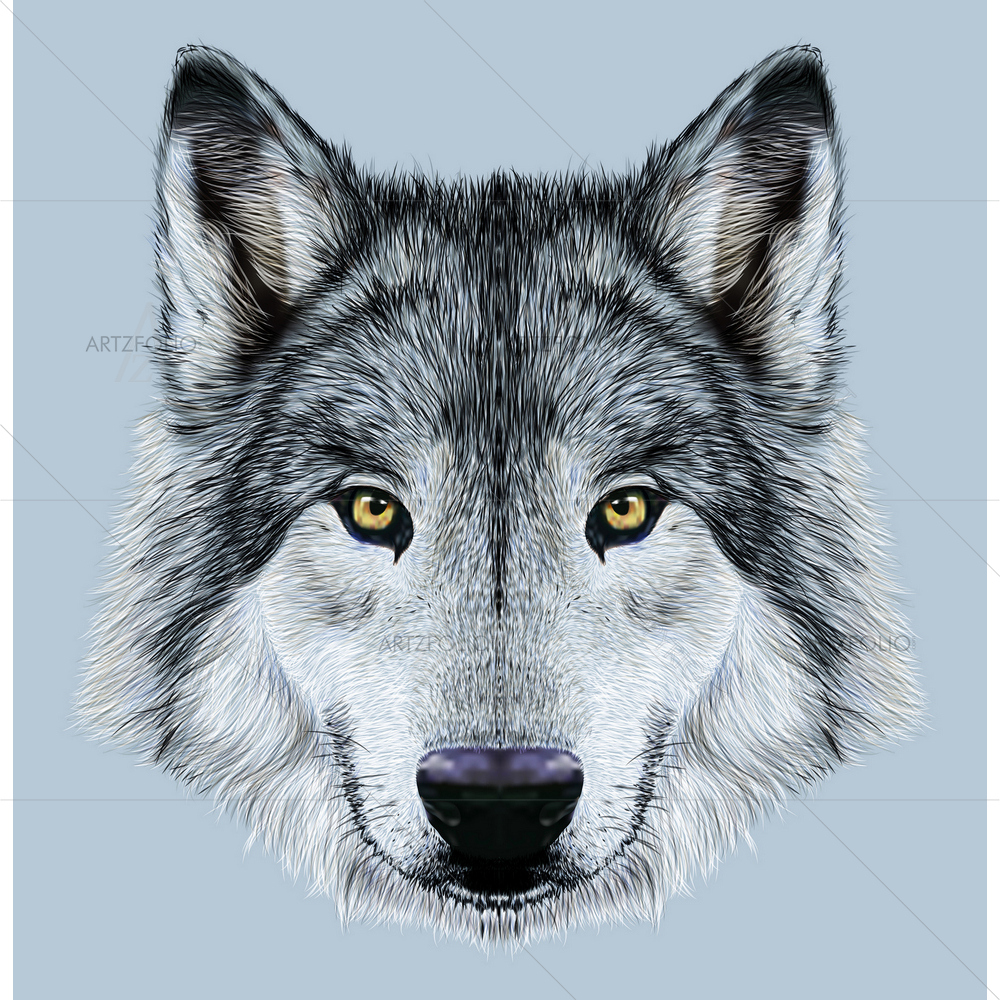 Wild Wolf Portrait D2 — Animals custom art by ArtzFolio