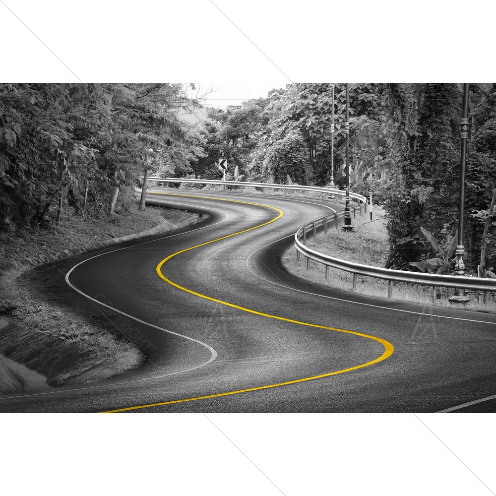 Monochrome Asphalt Road — Automobiles custom art by ArtzFolio