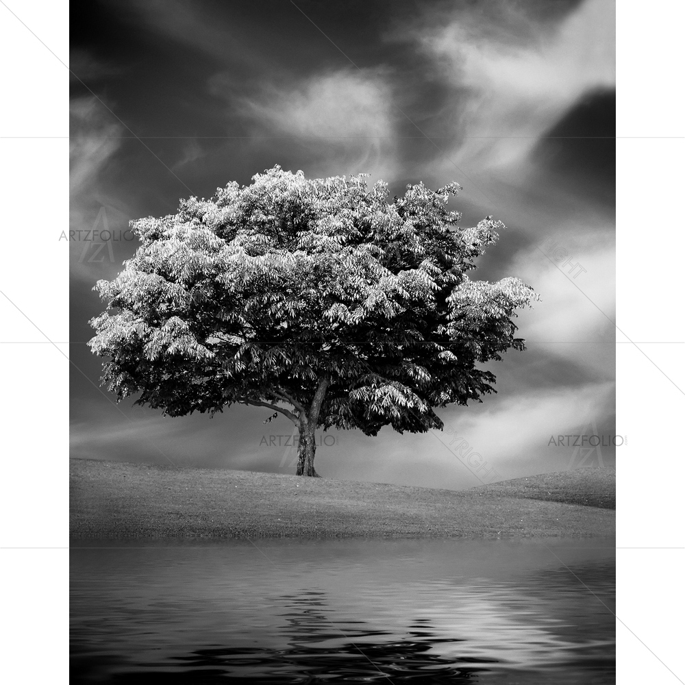 Tree Water Reflection — Countries custom art by ArtzFolio