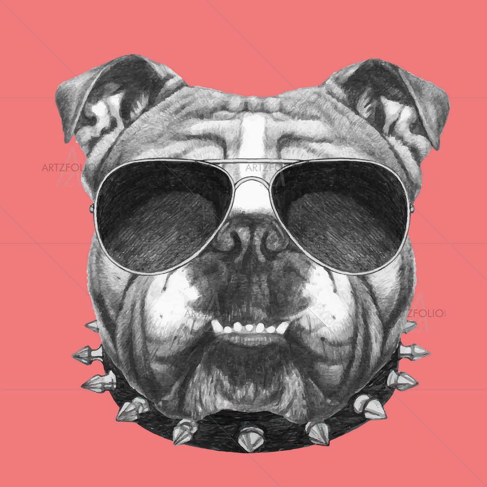 English Bulldog with Collar and Sunglasses — custom-size art design 5010452