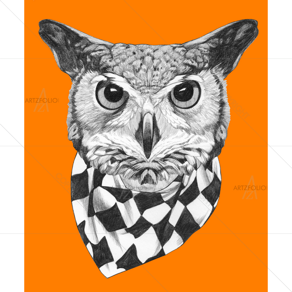 Owl with Scarf — Ancient custom art by ArtzFolio