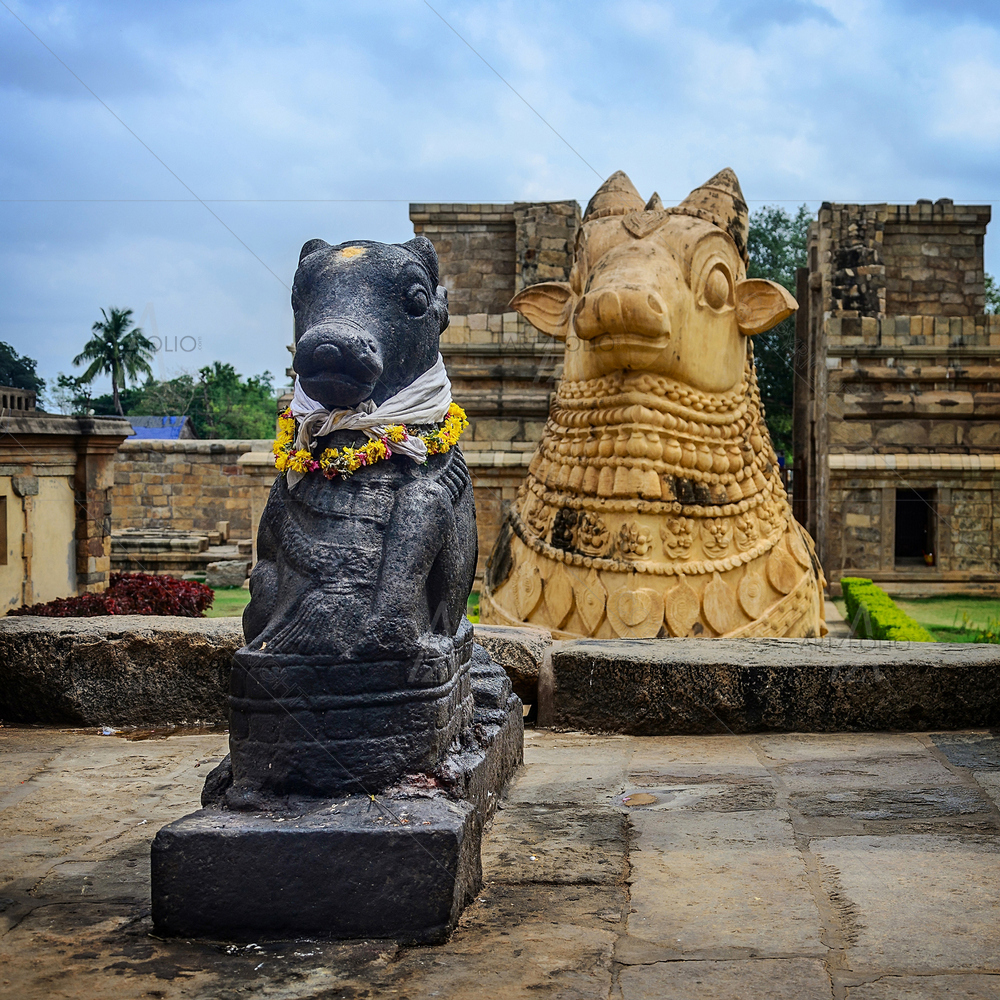 Nandi Bull, Gangaikondacholapuram Temple, Tamil Nadu — custom-size art design 5010457