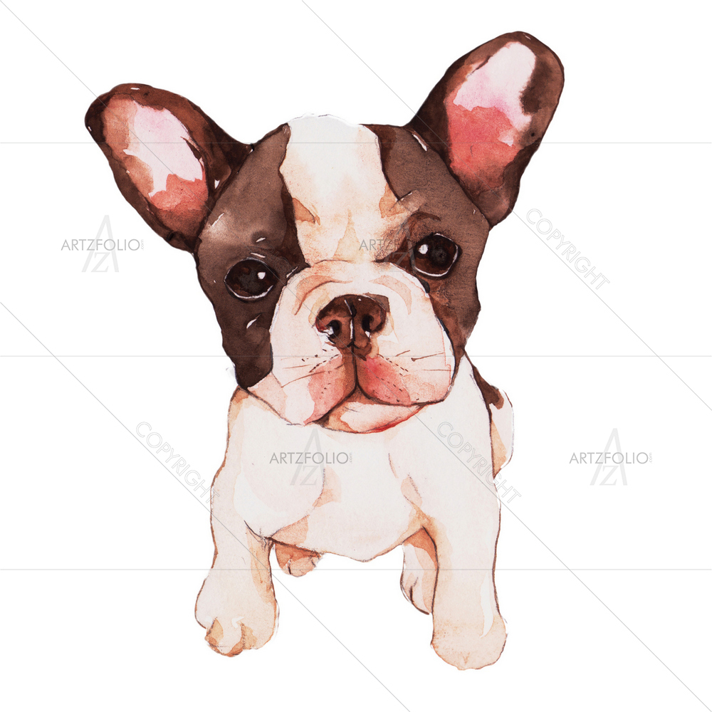 Watercolor Bull Dog — custom-size art design 5010468