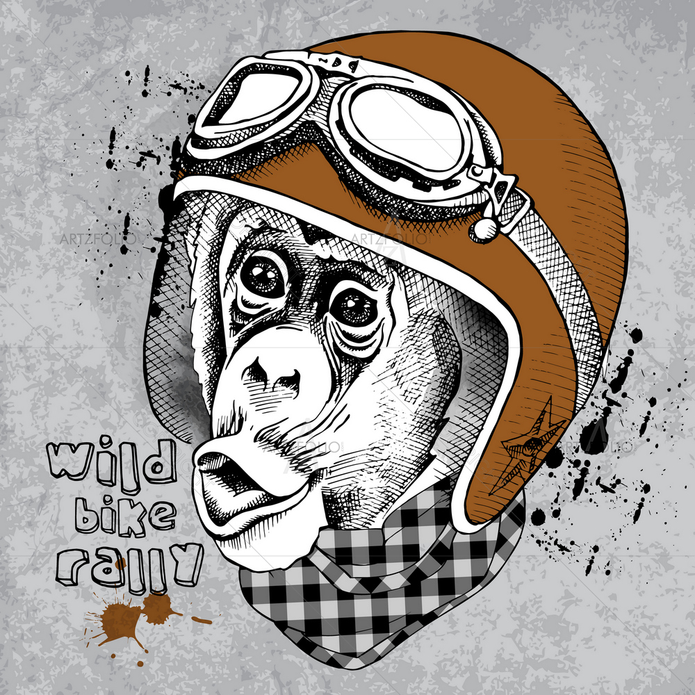 Monkey's Face with Motorcyclist Helmet D2 — custom-size art design 5010529