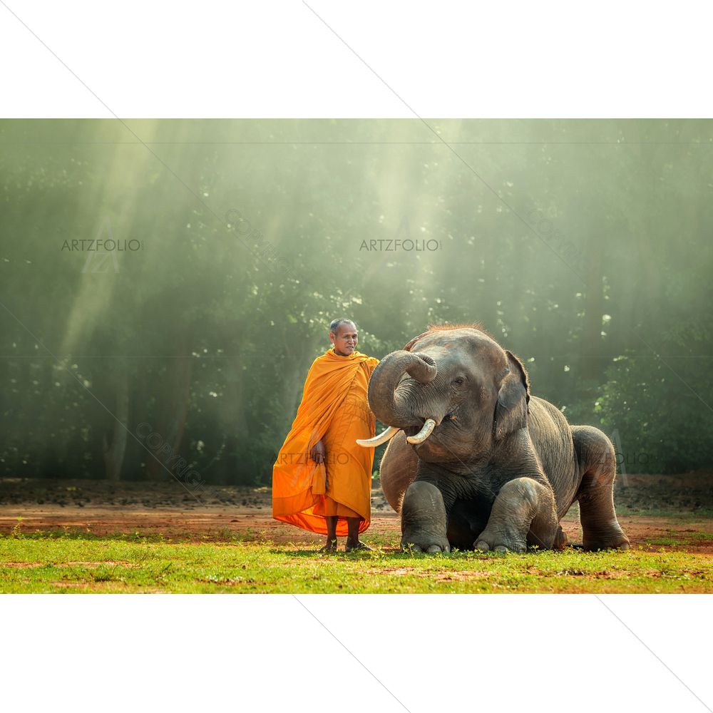 Monk and Baby Elephant D1 — custom-size art design 5010575