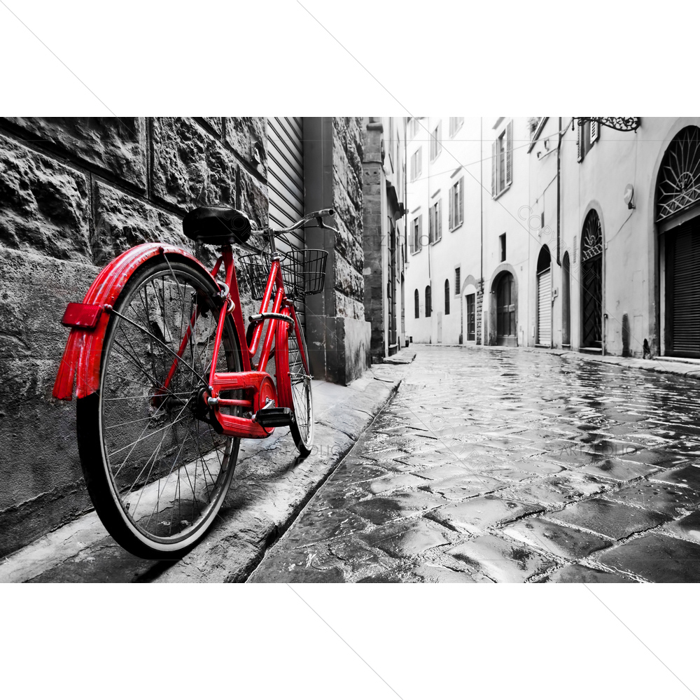 Retro Red Bike on Cobblestone Street — custom-size art design 5010597