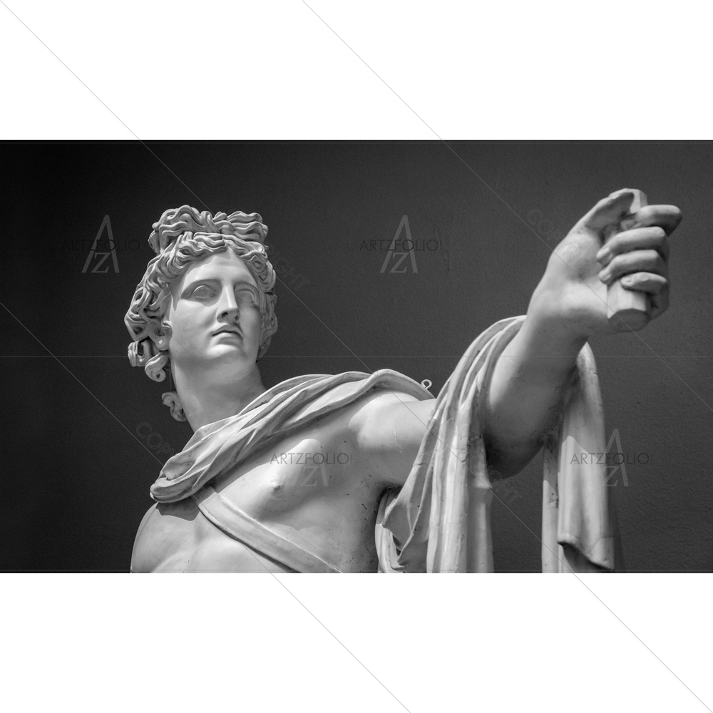 Apollo Belvedere Portrait D1 — Fluid marble custom art by ArtzFolio