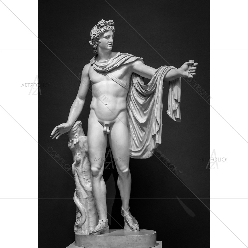 Apollo Belvedere Portrait D2 — Fluid marble custom art by ArtzFolio