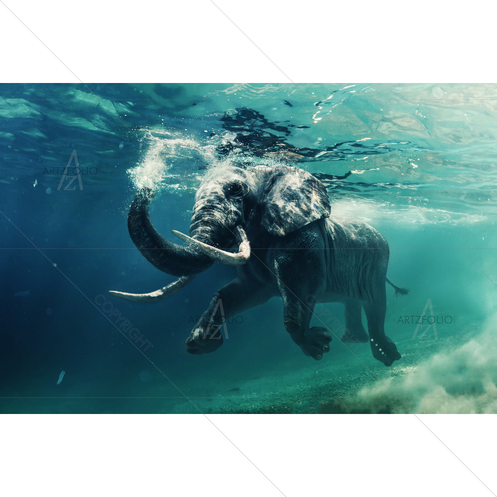 African Elephant in Ocean with Mirrors — custom-size art design 5010670