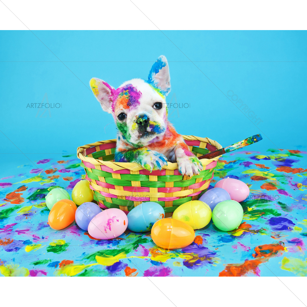 Little French Bulldog Puppy sitting in Easter Basket — Abstract custom art by ArtzFolio
