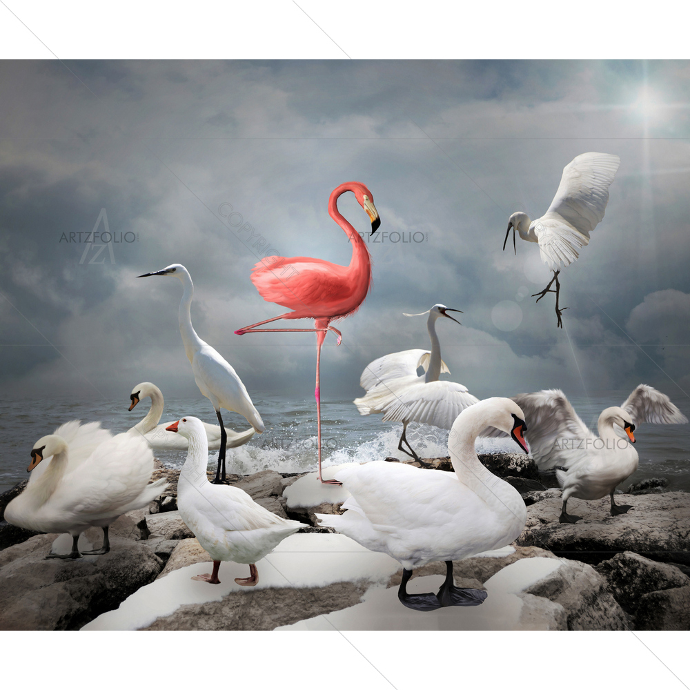 Flamingo and White Birds — Birds custom art by ArtzFolio