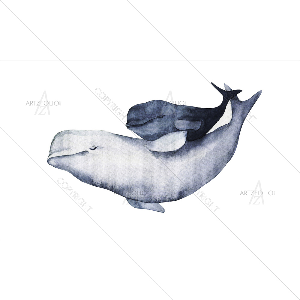 Beluga Whale Dolphin D1 — custom-size art design 5010690