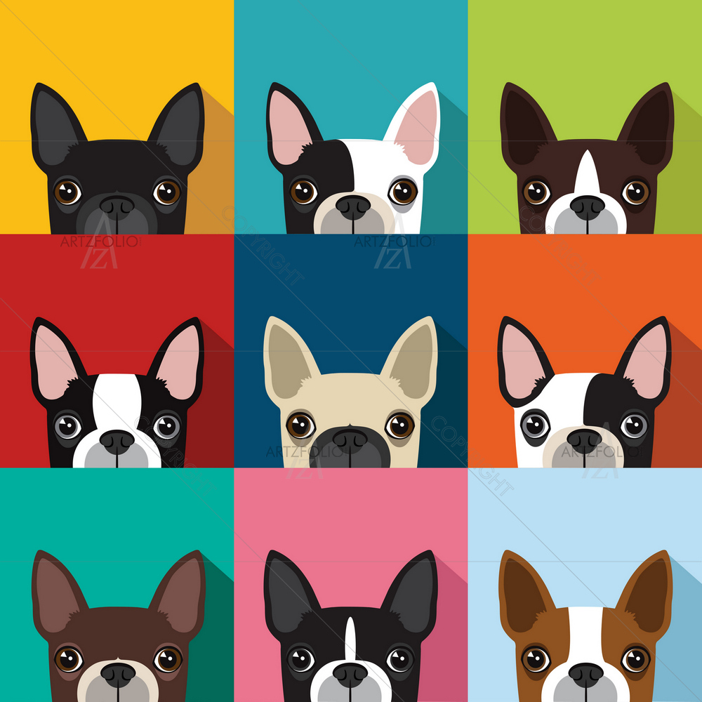 Colorful Boston Terrier — custom-size art design 5010700