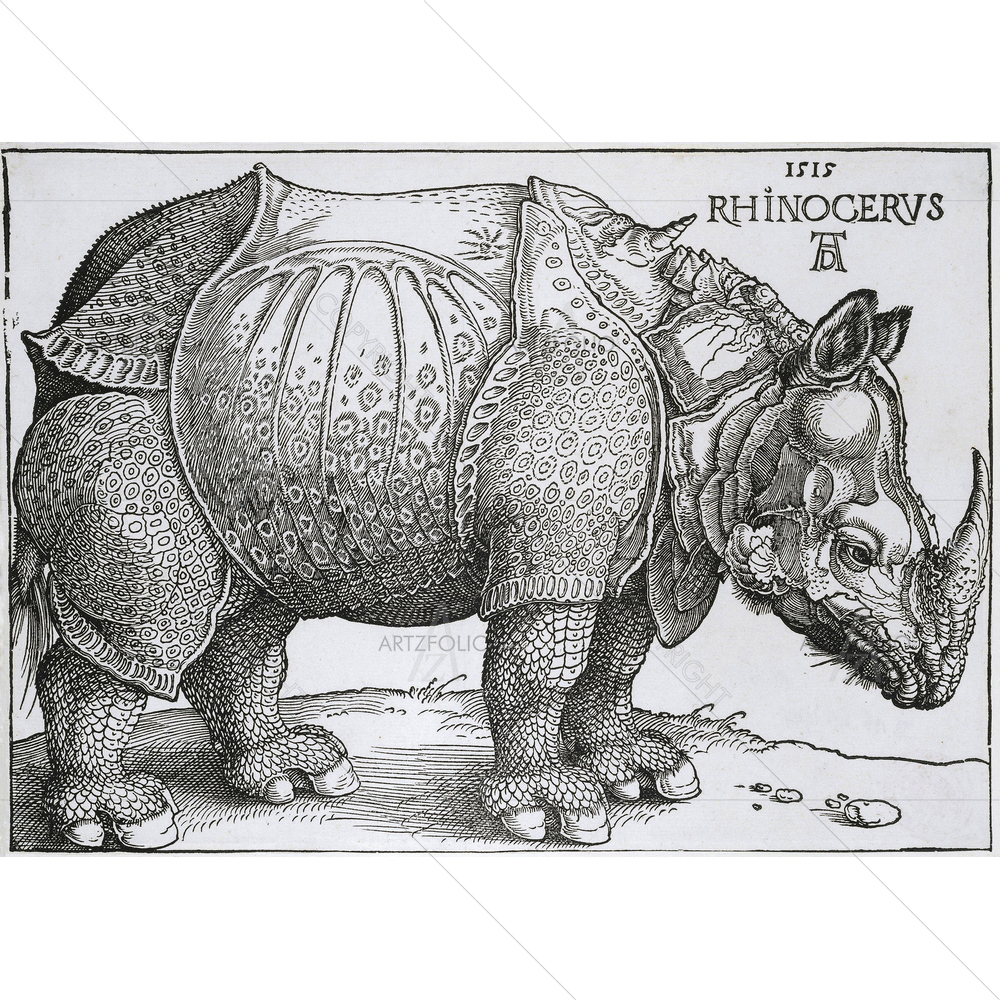 Rhinoceros, Hendrick Hondius, 1515 — Ancient custom art by ArtzFolio
