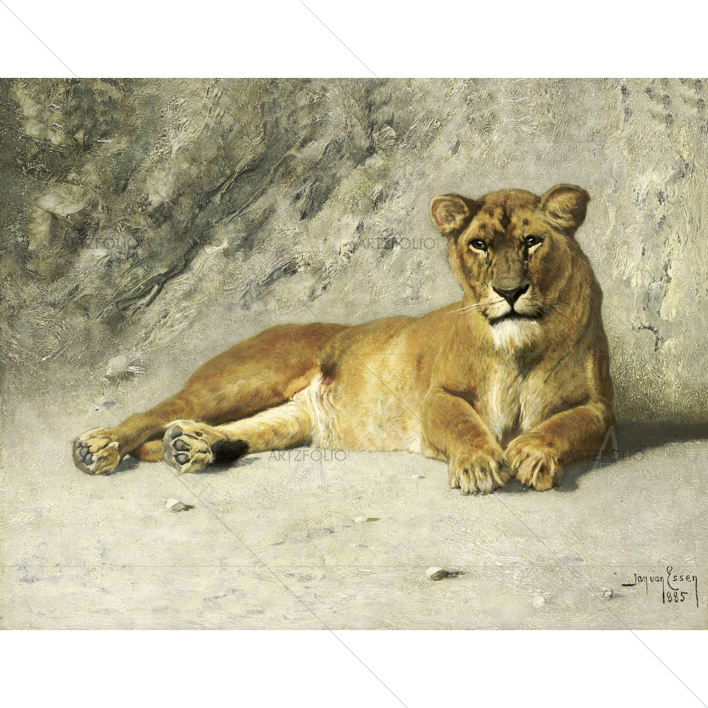 Lioness Resting, Jan Van Essen, 1885 — custom-size art design 5010738