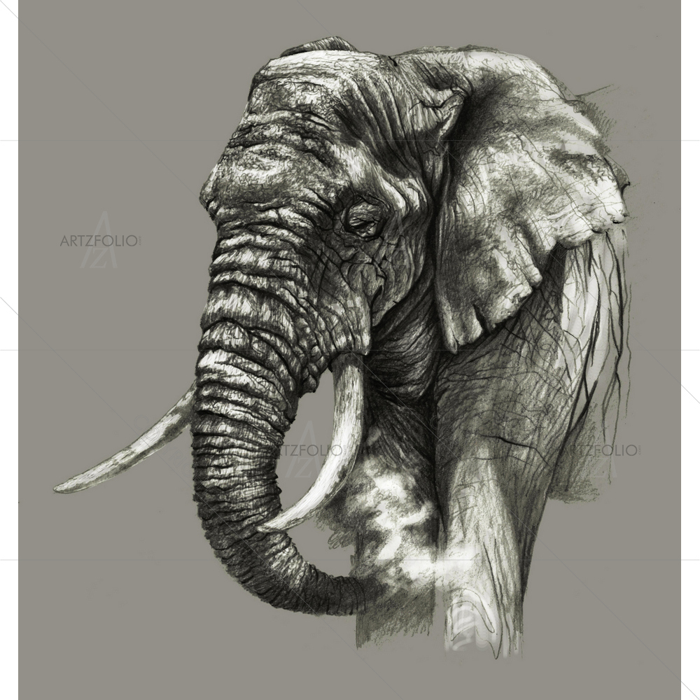African Elephant — custom-size art design 5010742