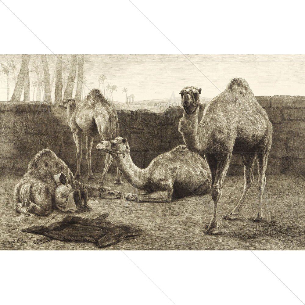 Camels, August Le Gras, 1886 — custom-size art design 5010749