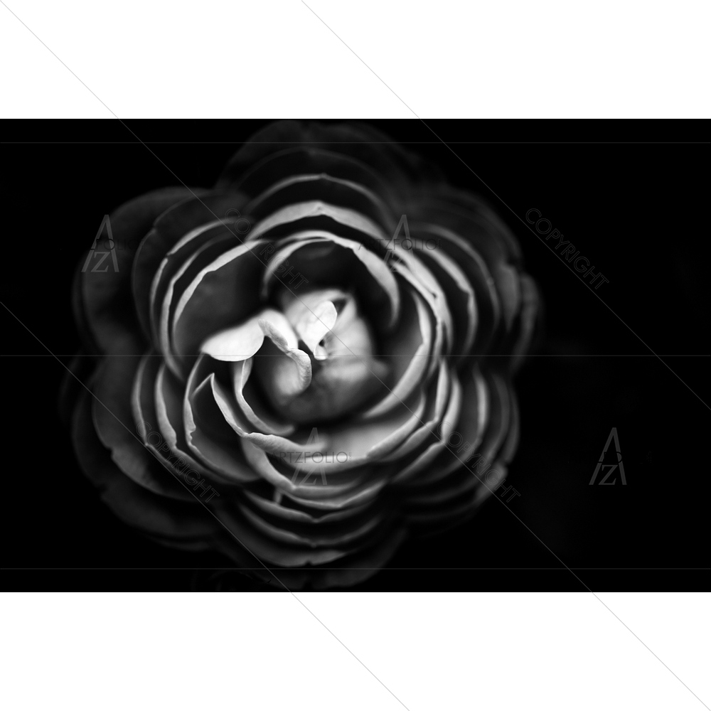 Abstract Flowers D2 — Botanical custom art by ArtzFolio