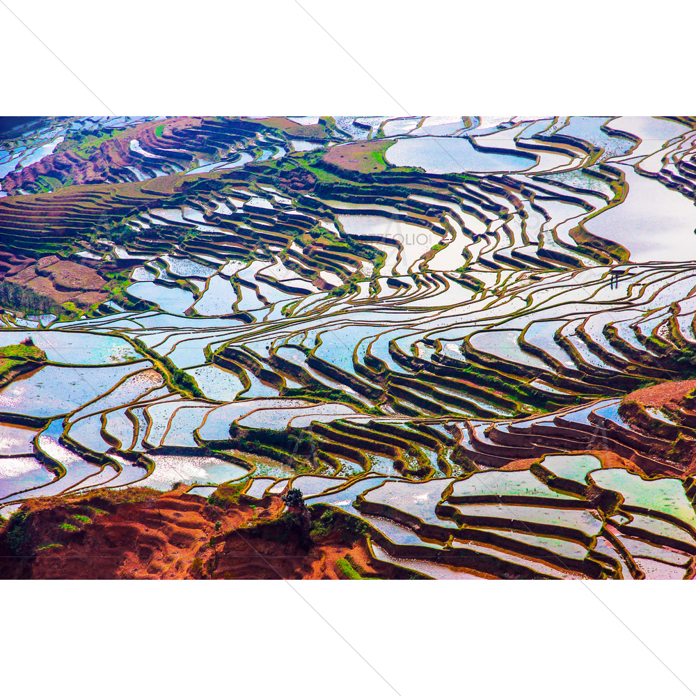 Rice Terraces, Yunnan, China — Asian custom art by ArtzFolio