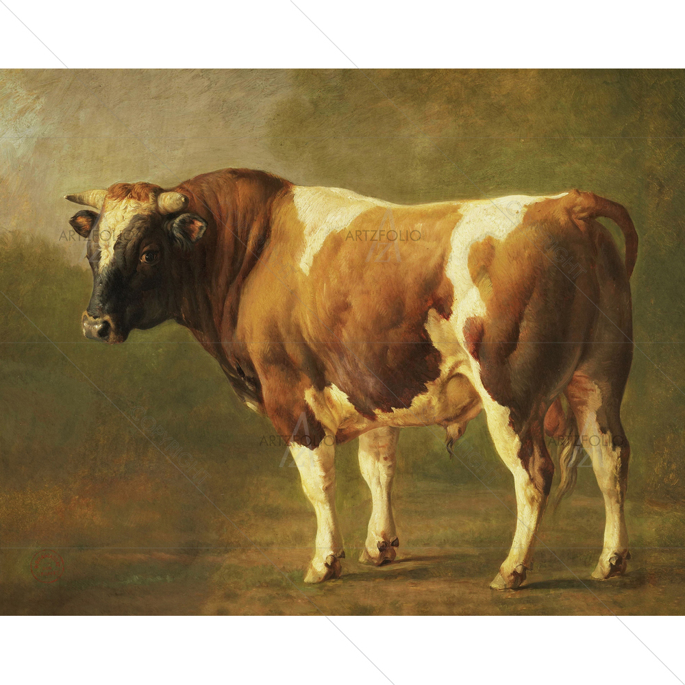 Study of Bull, Jacques Brascassat, 1830-67 — custom-size art design 5010852