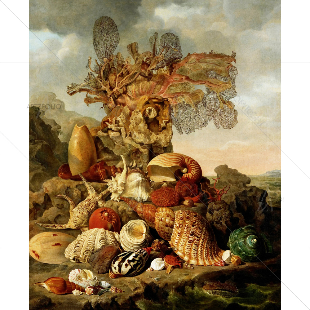 Shells and Marine Plants, Henricus Wiertz, 1809 — Ancient custom art by ArtzFolio