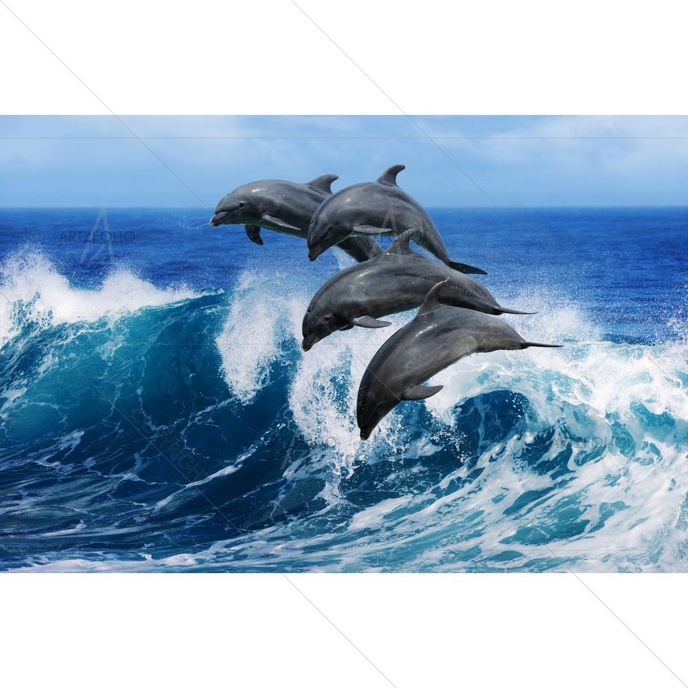 Jumping Dolphins — Animals custom art by ArtzFolio