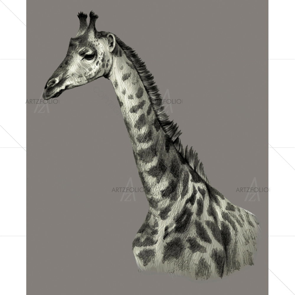 Giraffe Portrait — custom-size art design 5011135