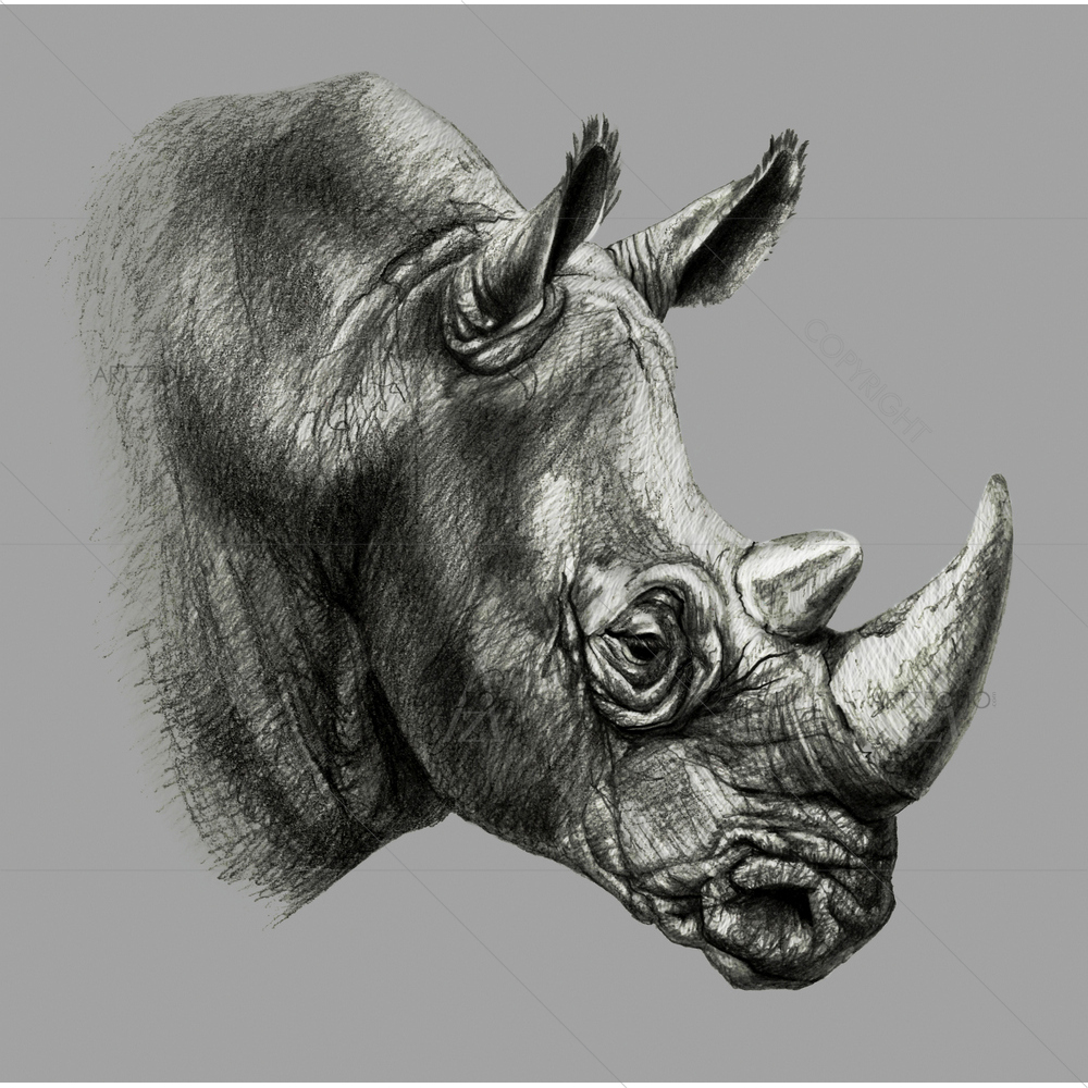 Rhino Portrait — custom-size art design 5011136