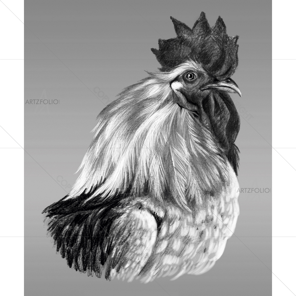 Monochrome Rooster Drawing — Ancient custom art by ArtzFolio
