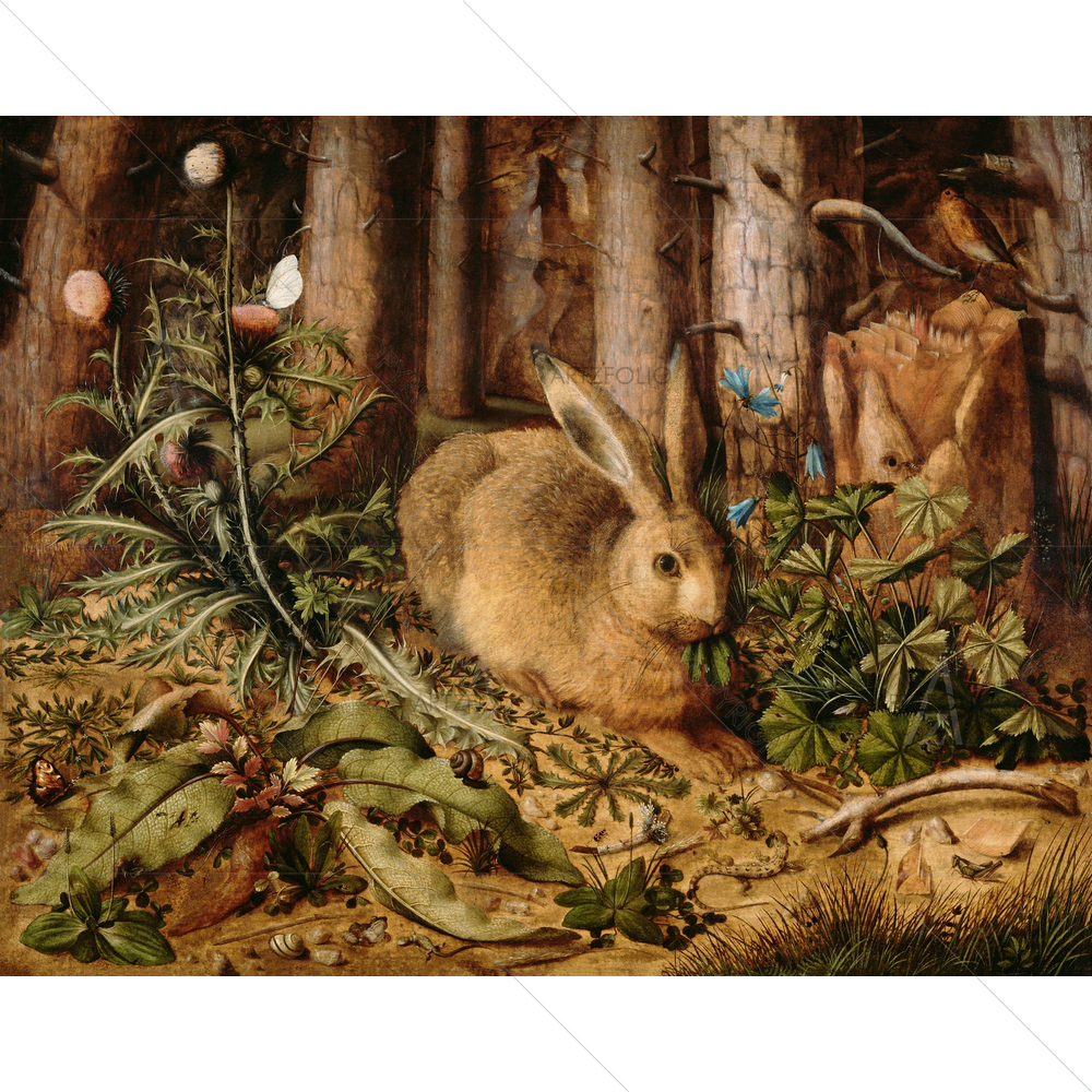 Hare in the Forest, Hans Hoffmann, 1585 — custom-size art design 5011160
