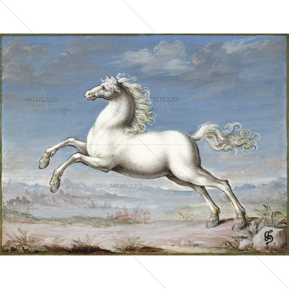 White Horse, Joris Hoefnagel, 1560-99 — custom-size art design 5011166