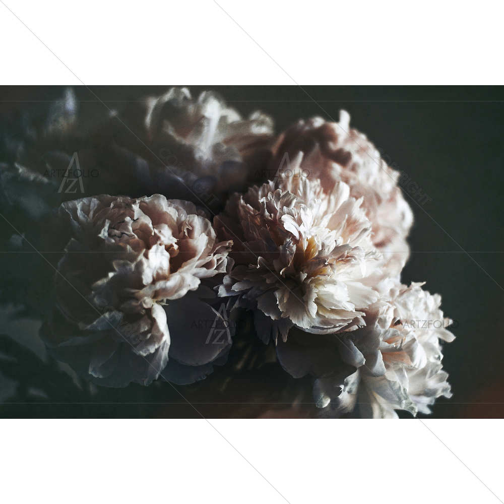 Peonies Art — Botanical custom art by ArtzFolio