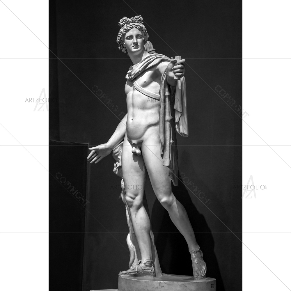 Apollo Belvedere Portrait D3 — custom-size art design 5011281