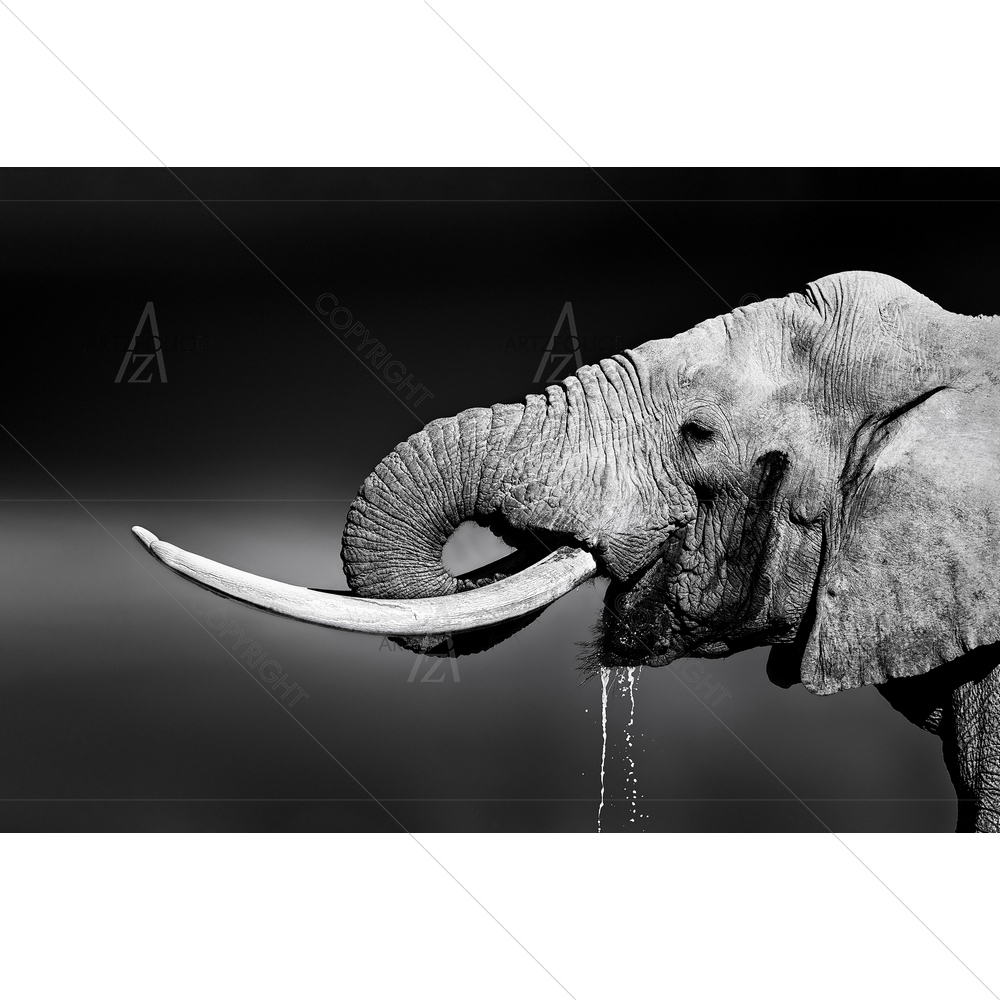 Elephant With Large Tusks — African custom art by ArtzFolio