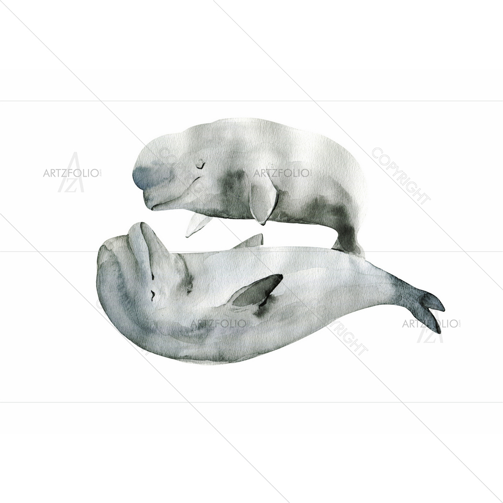 Beluga Whale Dolphin D2 — custom-size art design 5011364