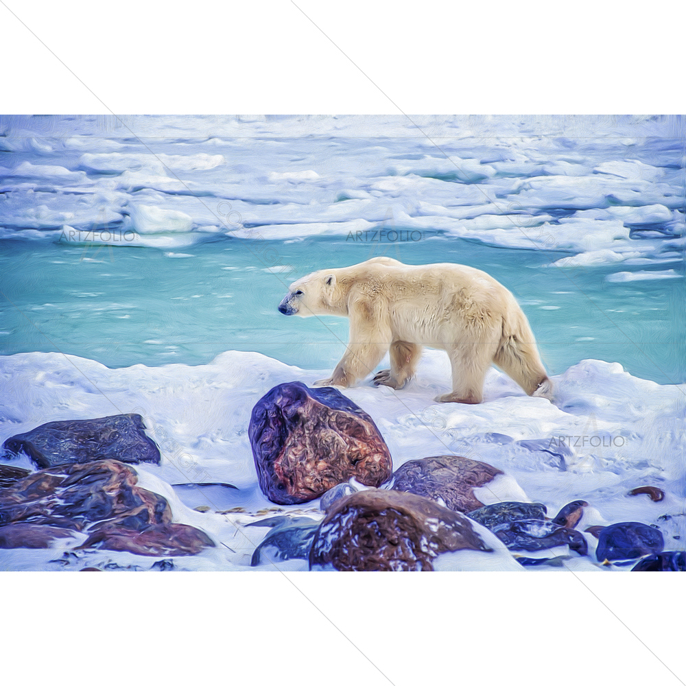 Polar Bear Walking on Hudsons Bay Shore — custom-size art design 5011418