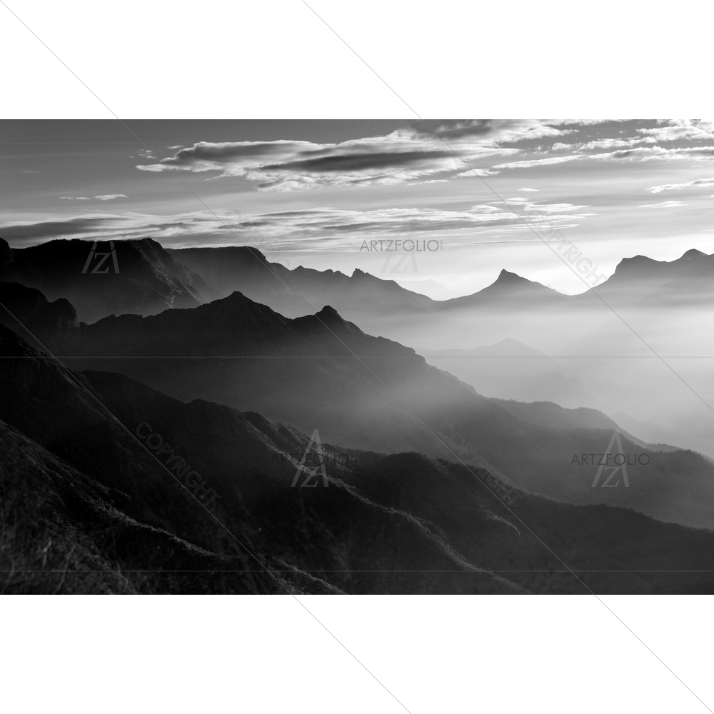 Green Tea Plantation, Kerala, India — custom-size art design 5011431