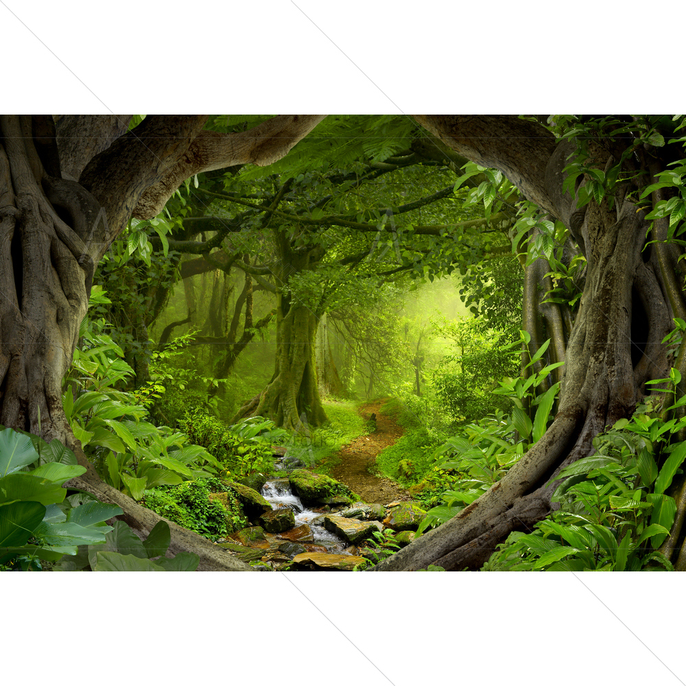 Tropical Jungles, Southeast Asia D1 — Landscapes custom art by ArtzFolio