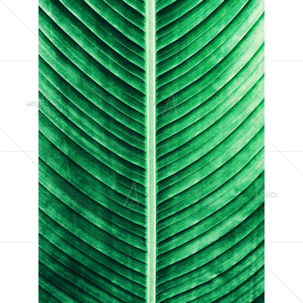 Abstract Green Leaf — Abstract custom art by ArtzFolio
