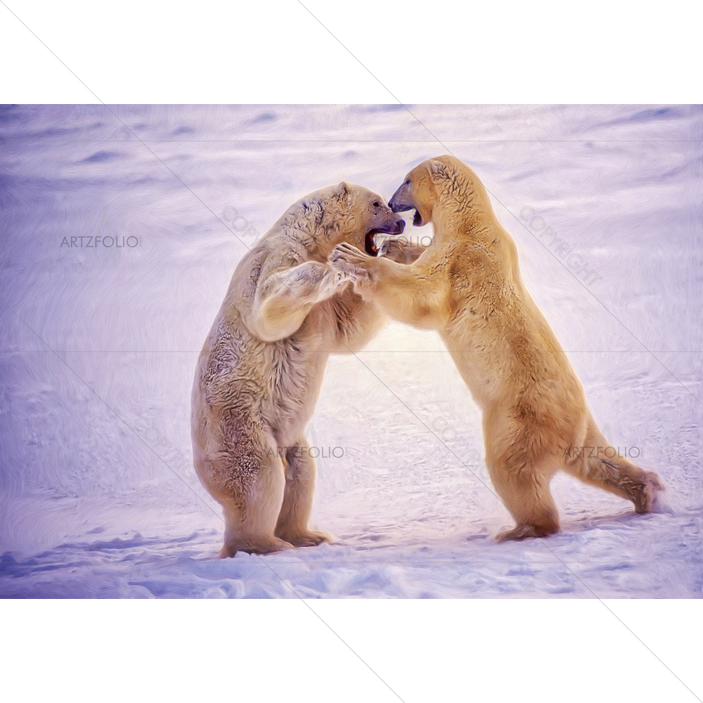 Polar Bears Fighting — custom-size art design 5011565