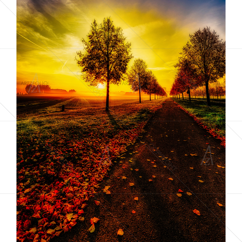 Autumn on Alley — Fantasy custom art by ArtzFolio