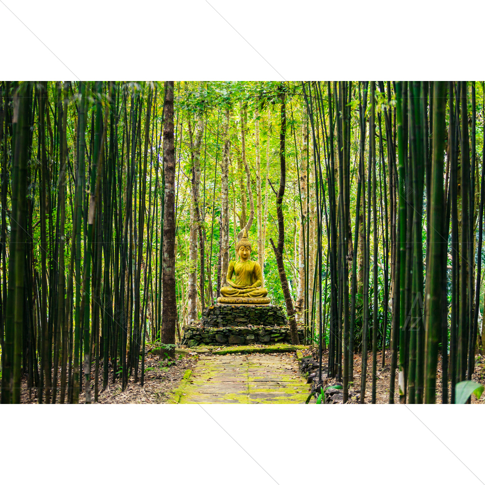 Lord Buddha in Bamboo Forest — custom-size art design 5011614