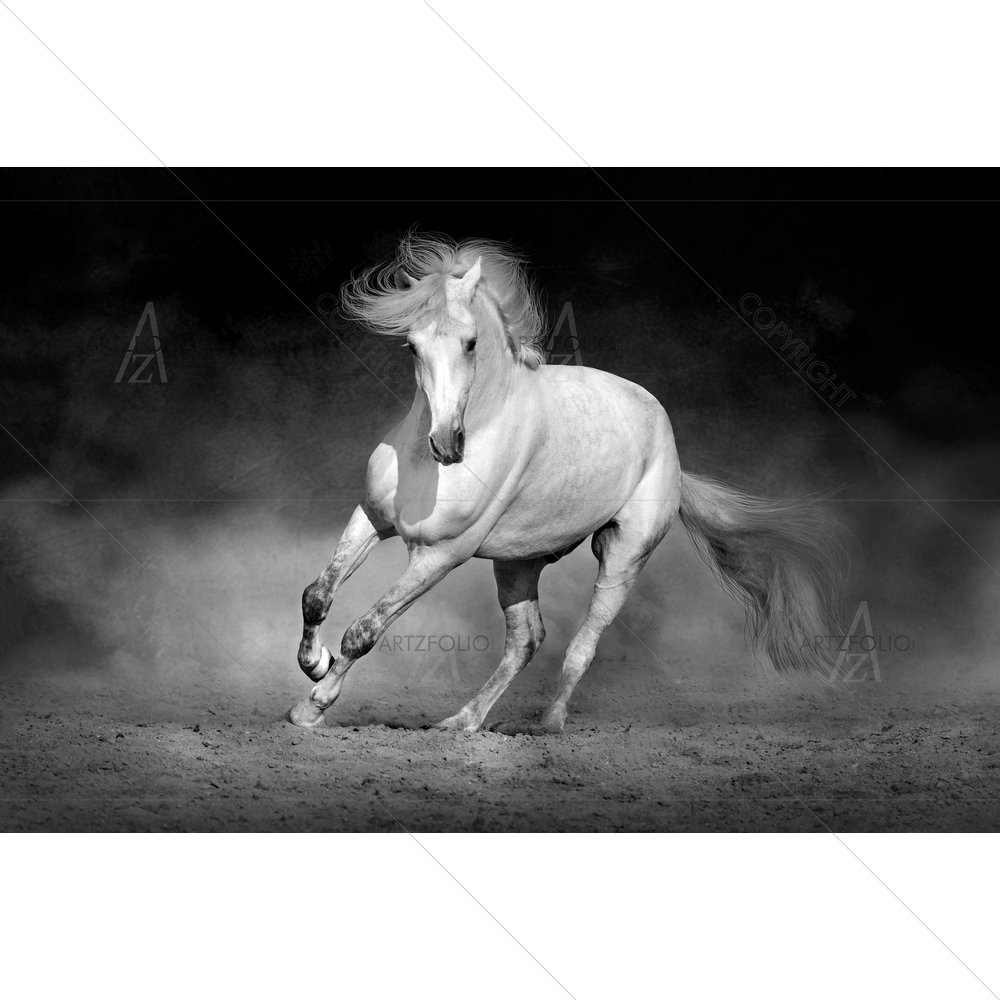 Black & White Horse in Desert — Animals custom art by ArtzFolio