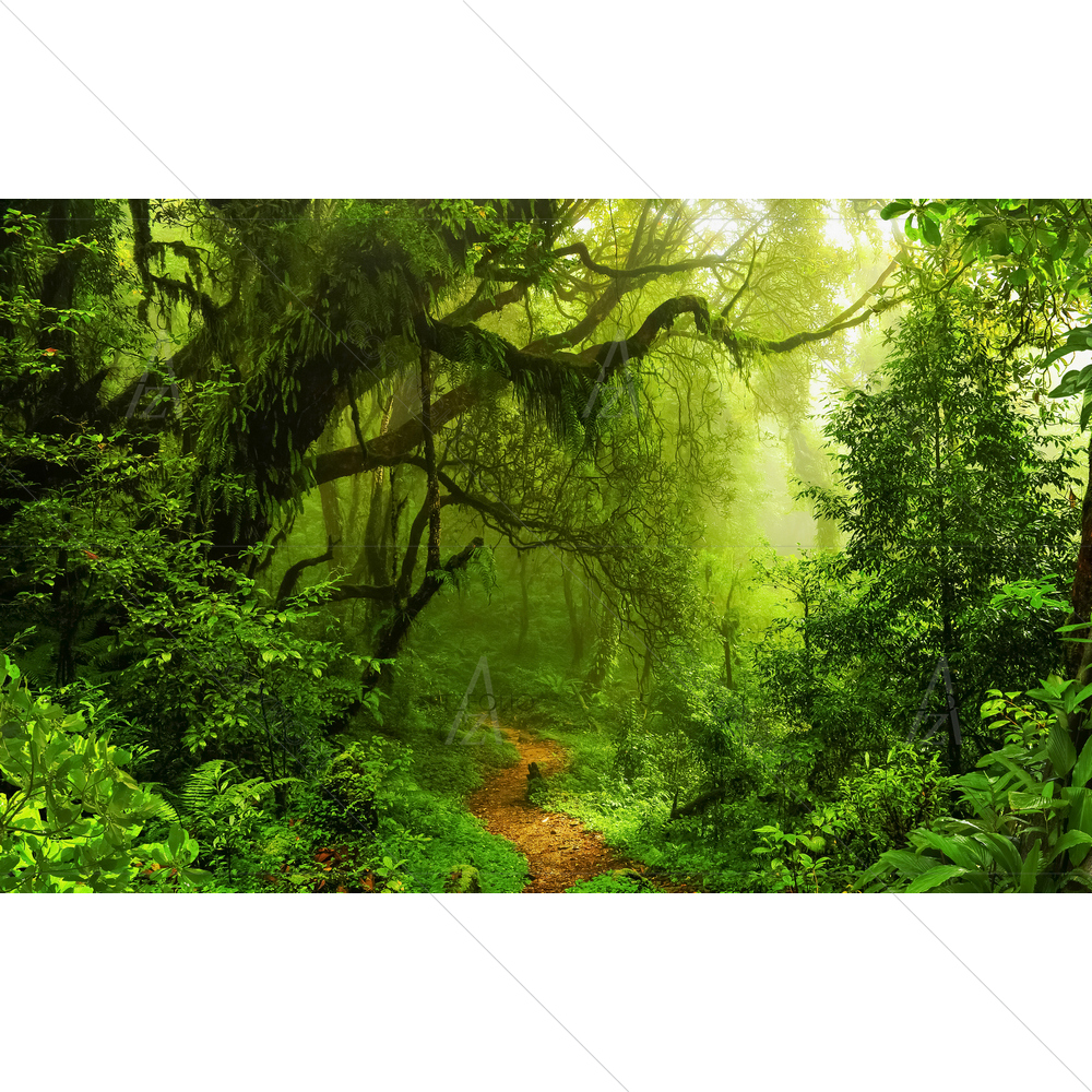 Tropical Jungles, Southeast Asia D2 — custom-size art design 5011635