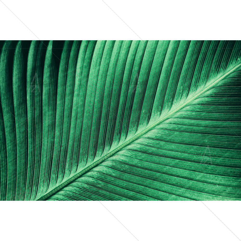 Vintage Green Stripes — custom-size art design 5011636