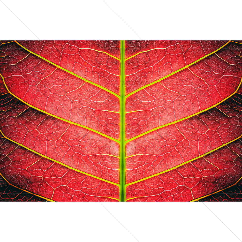 Red Striped Of Foliage — custom-size art design 5011669