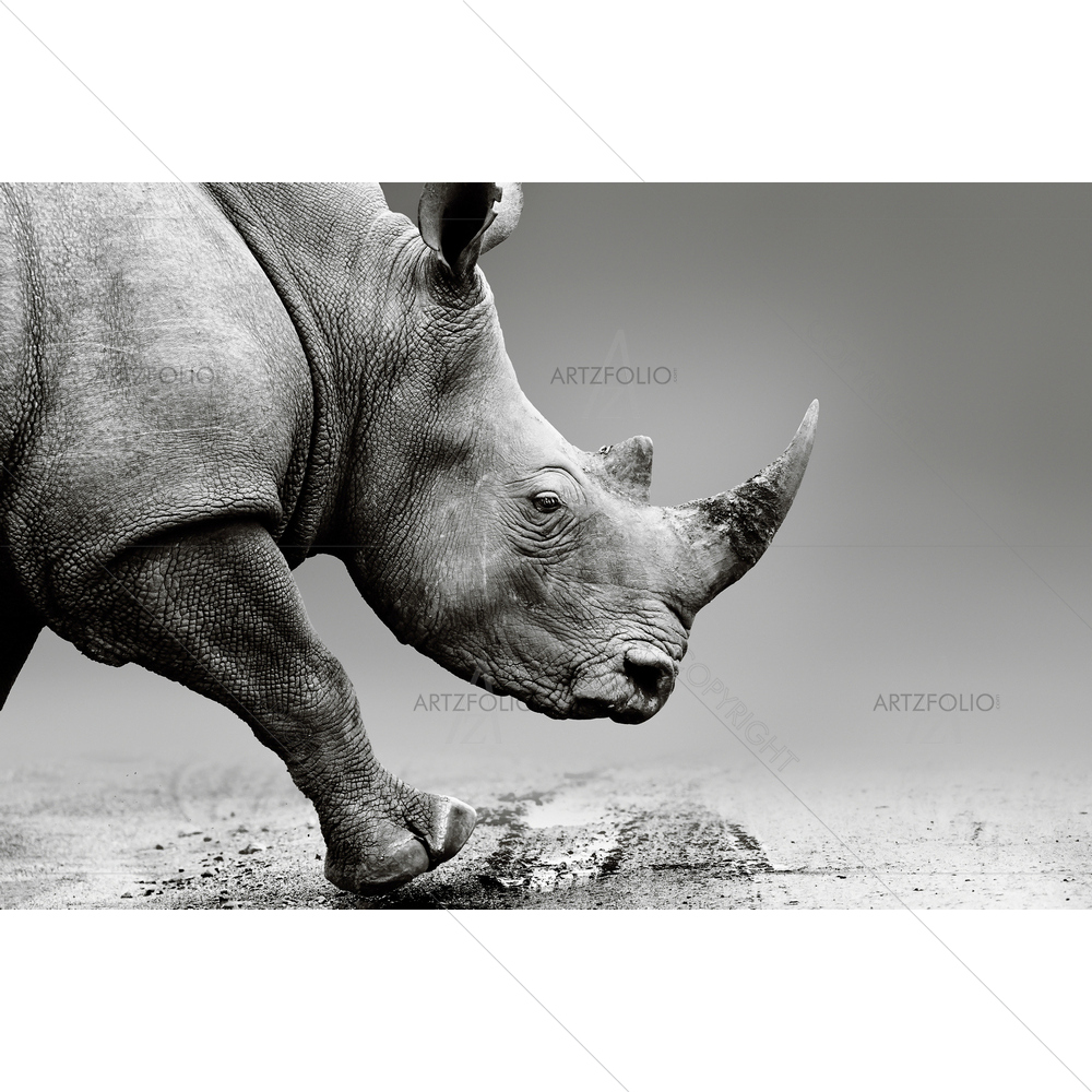 Rhinoceros, Pilanesberg National Park — African custom art by ArtzFolio