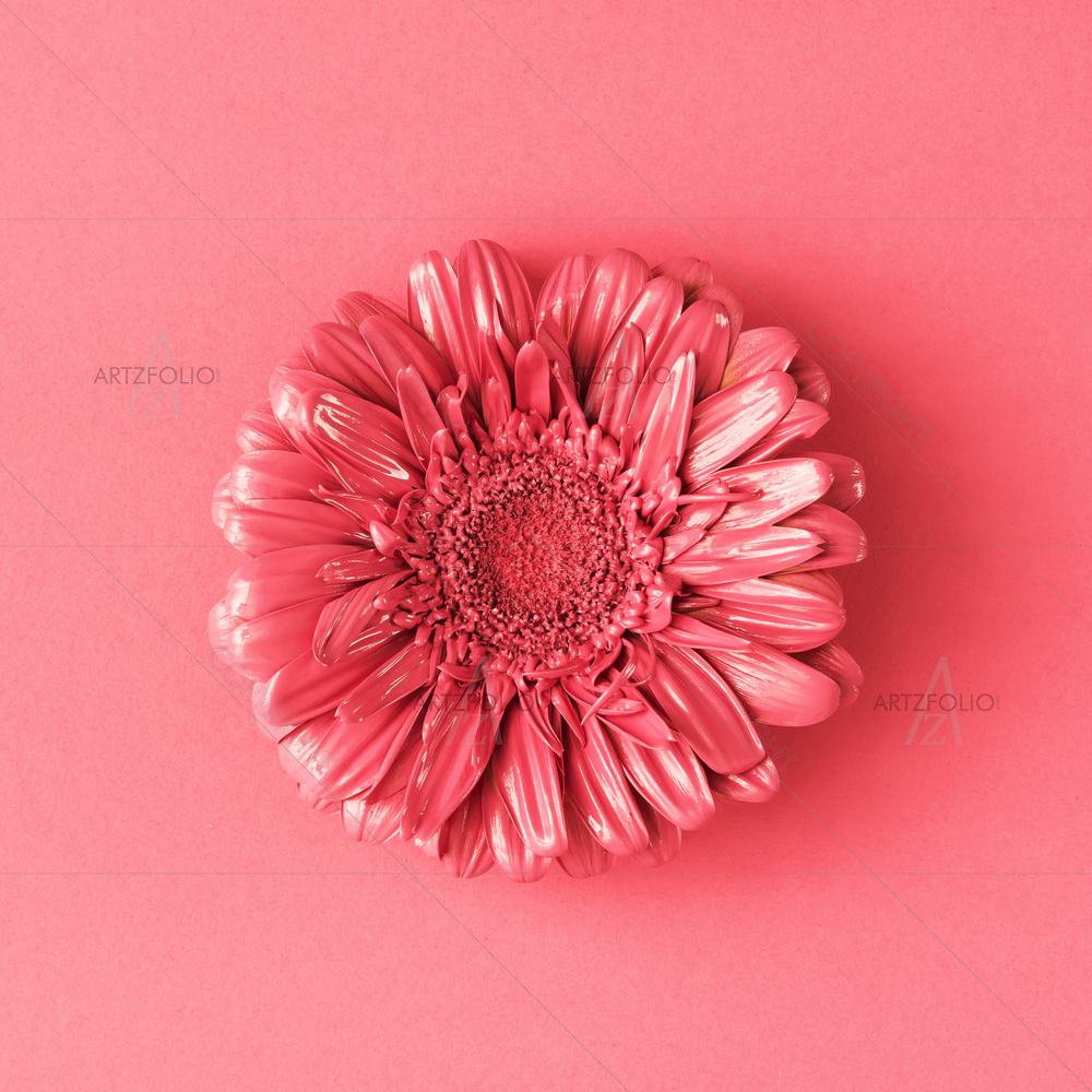 Pink Daisy Flower — Botanical custom art by ArtzFolio