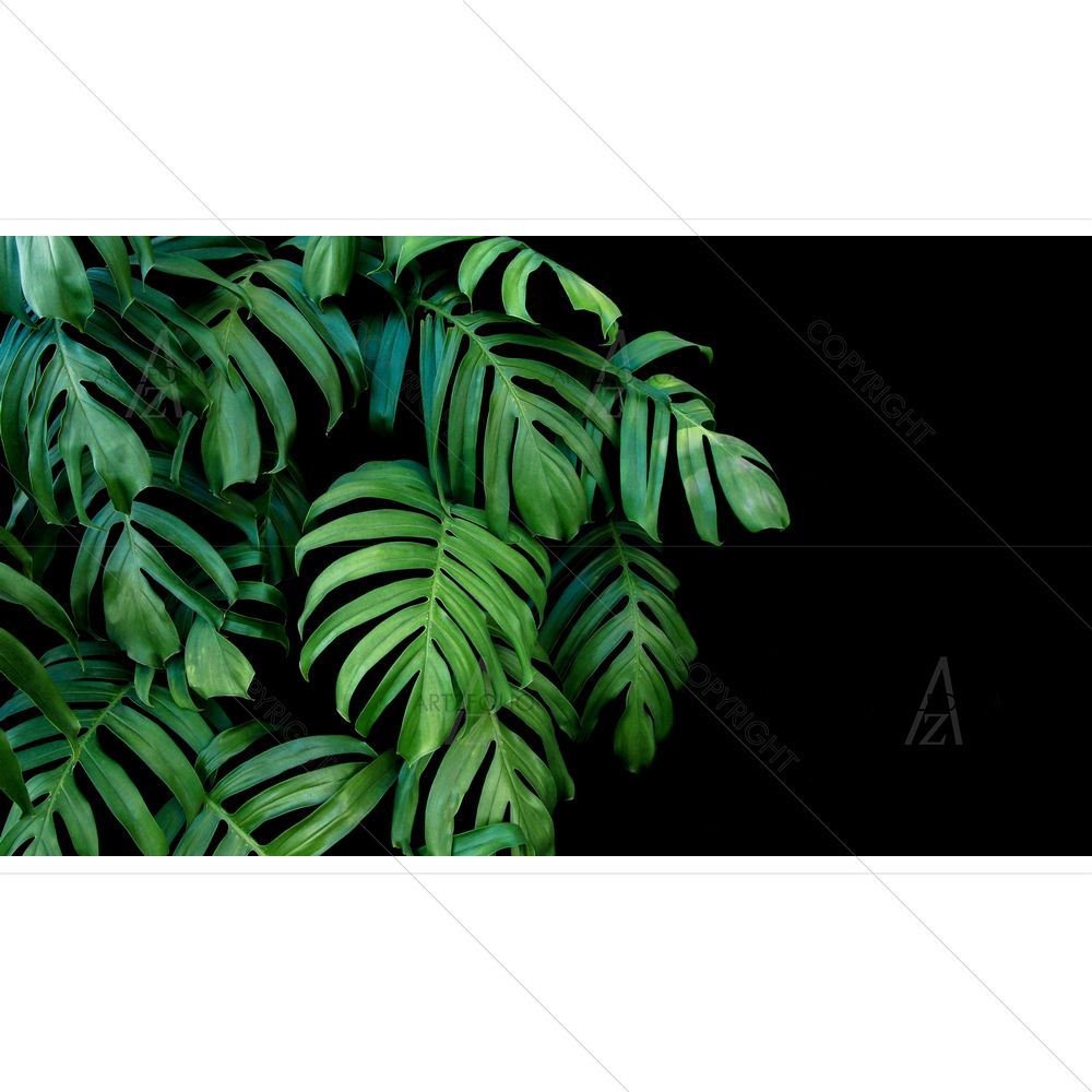 Monstera Green Leaves — custom-size art design 5011705