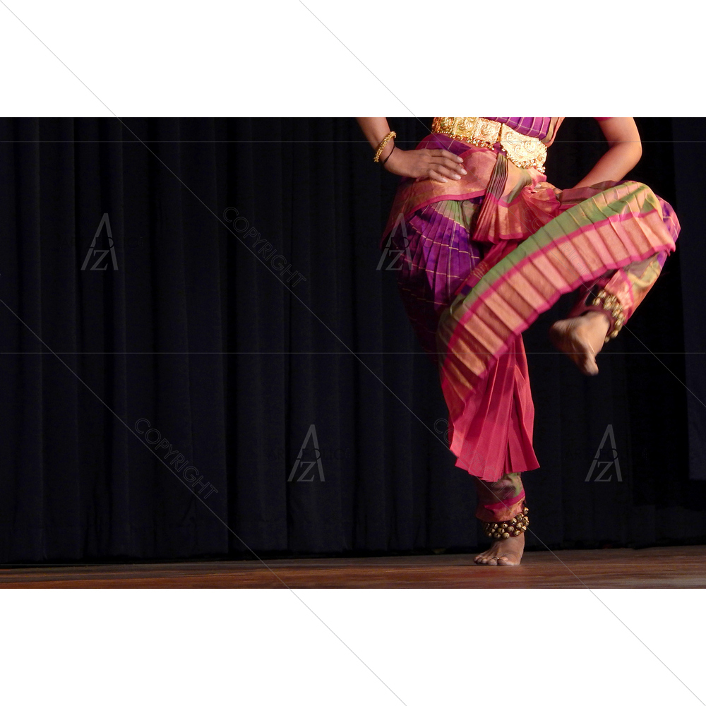 Indian Bharatanatyam Dance — custom-size art design 5011716